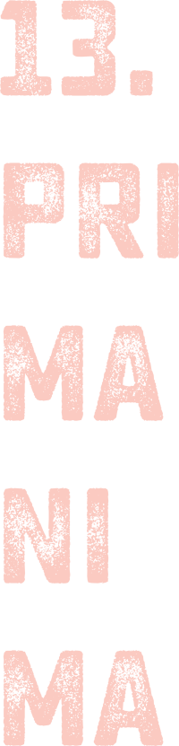 Primanima Festival 2025 felirat